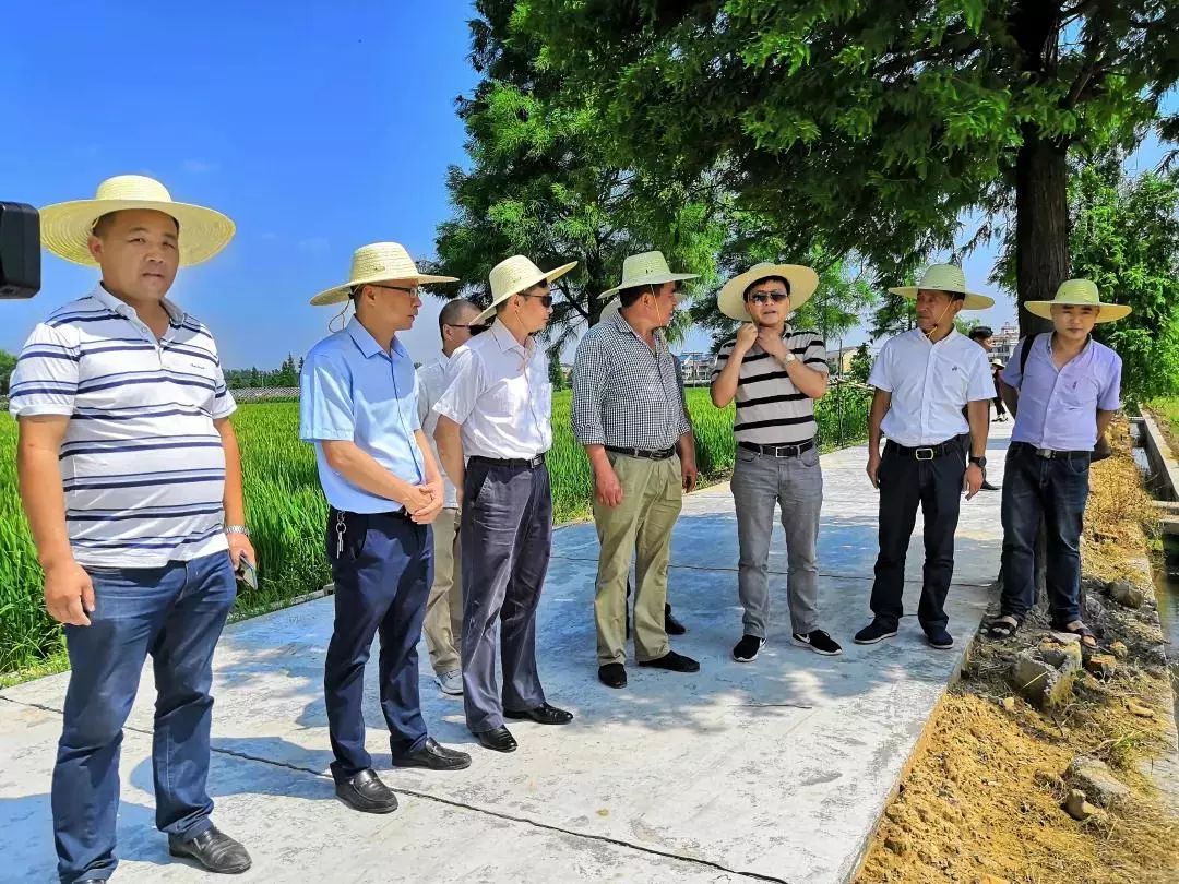 镇两个村党支部与中国水稻研究所结对共建