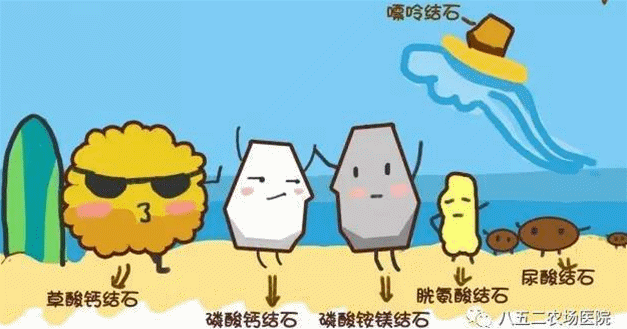 千万别怪我心狠手辣 因为这一切都是你一手造成的 原本 和我家族的众
