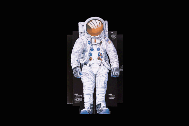 下图中,hawcock设计制作的部分立体书中,一定有一本已经在你的书架上