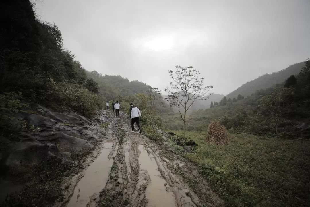 毕节人口数_毕节百里杜鹃图片(2)