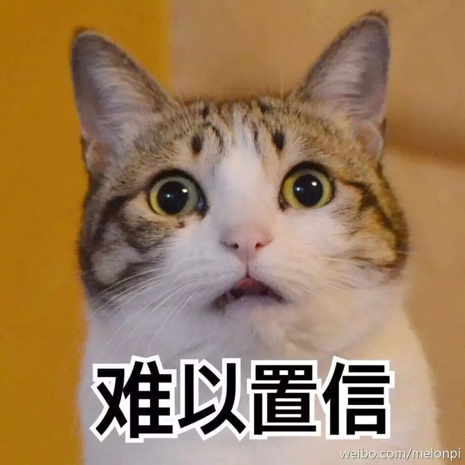 5e206a5a57d54357b6754a28d92839e8.jpeg