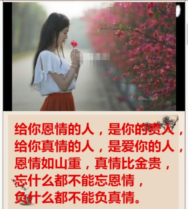 恩情,不能忘;真情,不能伤!帮过我的人,一辈子不忘