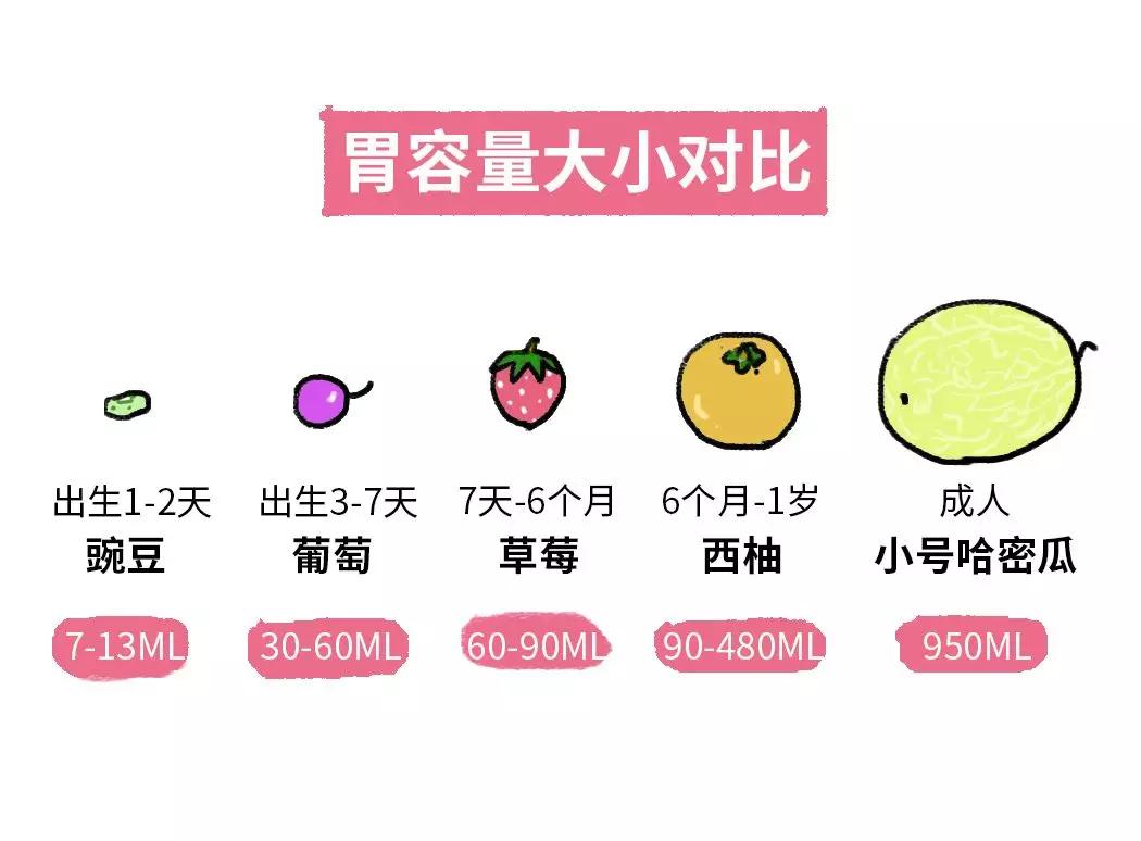 初生婴儿食量是非常非常小的,有些家长给刚出生几天的宝宝一下灌下100