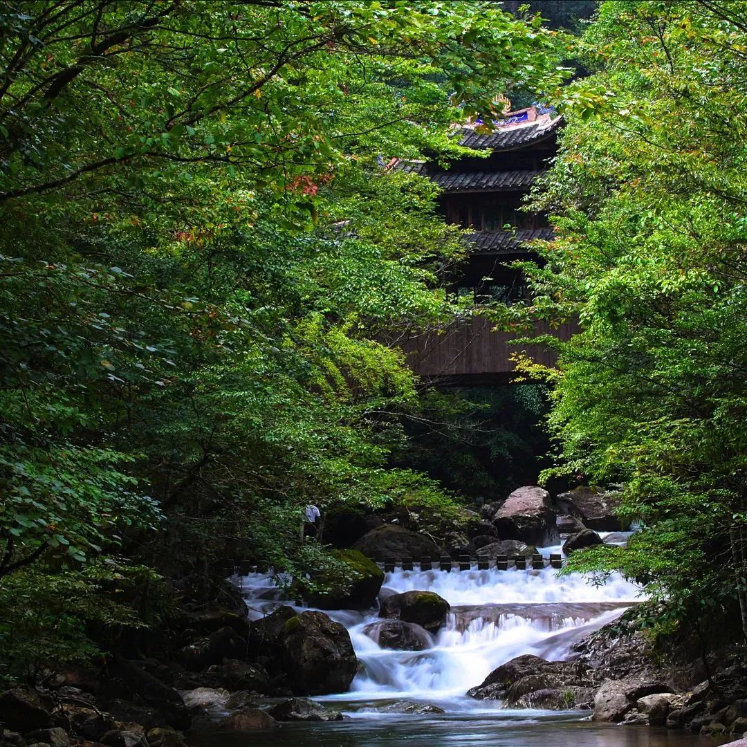 山涧幽冥,晨曦清风的相逢,乌岩岭 翁晓旭 摄飞流激湍,落英缤纷.