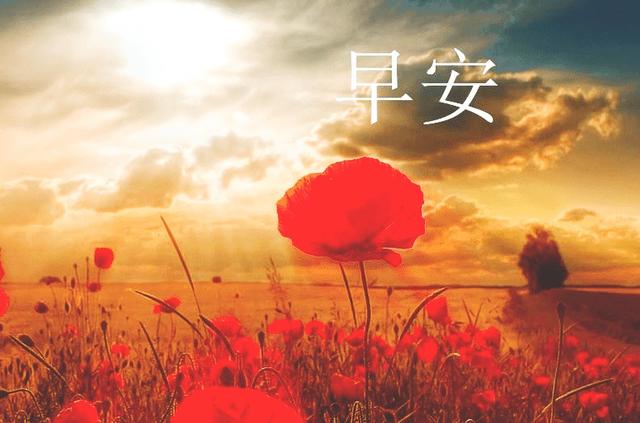 7ab00a2a60574a53b1b81d108df2cb5a.jpeg