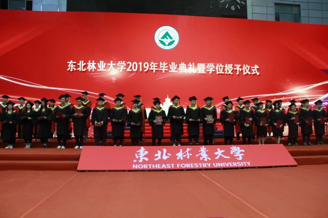 毕业啦情谊长长长长到心里是2019届同学们写不完的诗句