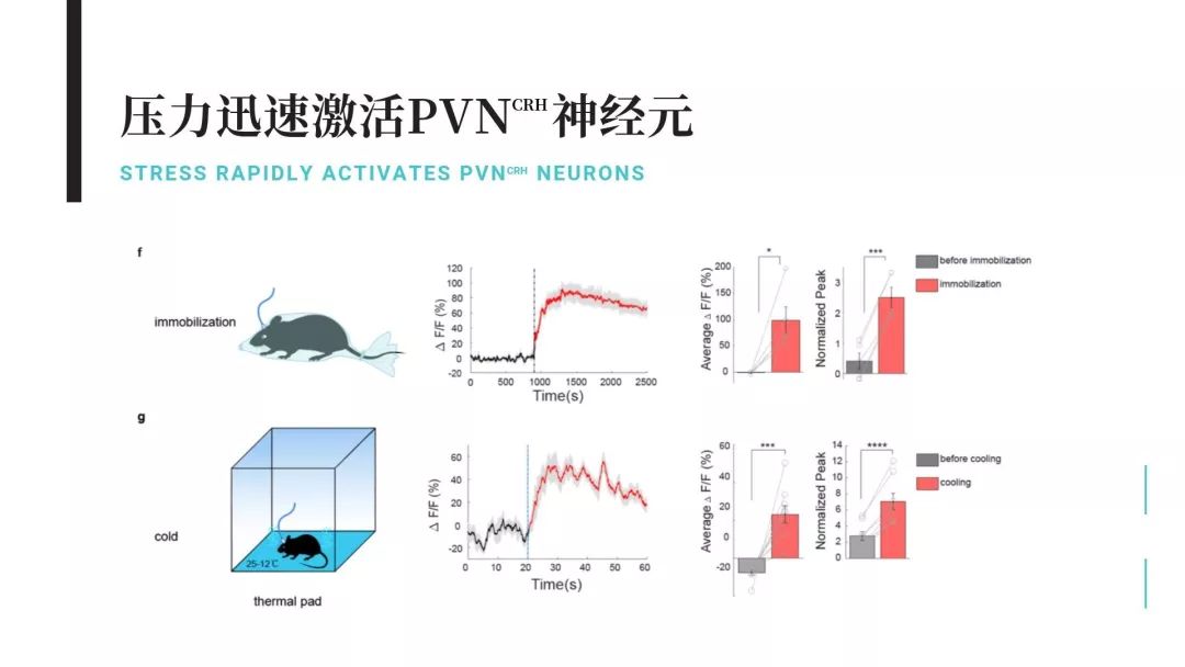 mindflex是什么原理_上环是什么原理图片(2)