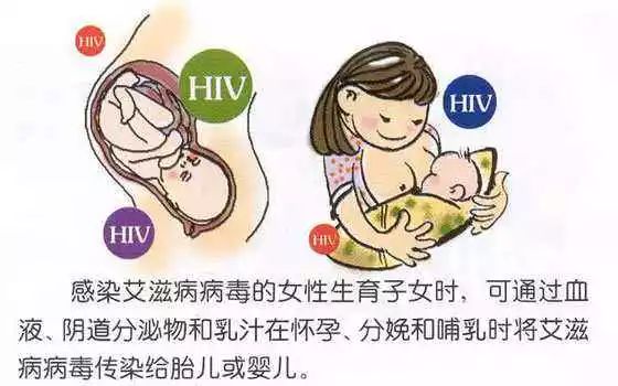 预防艾滋病梅毒和乙肝母婴传播 [如何预防艾滋病、梅毒、乙肝的母婴传播] 