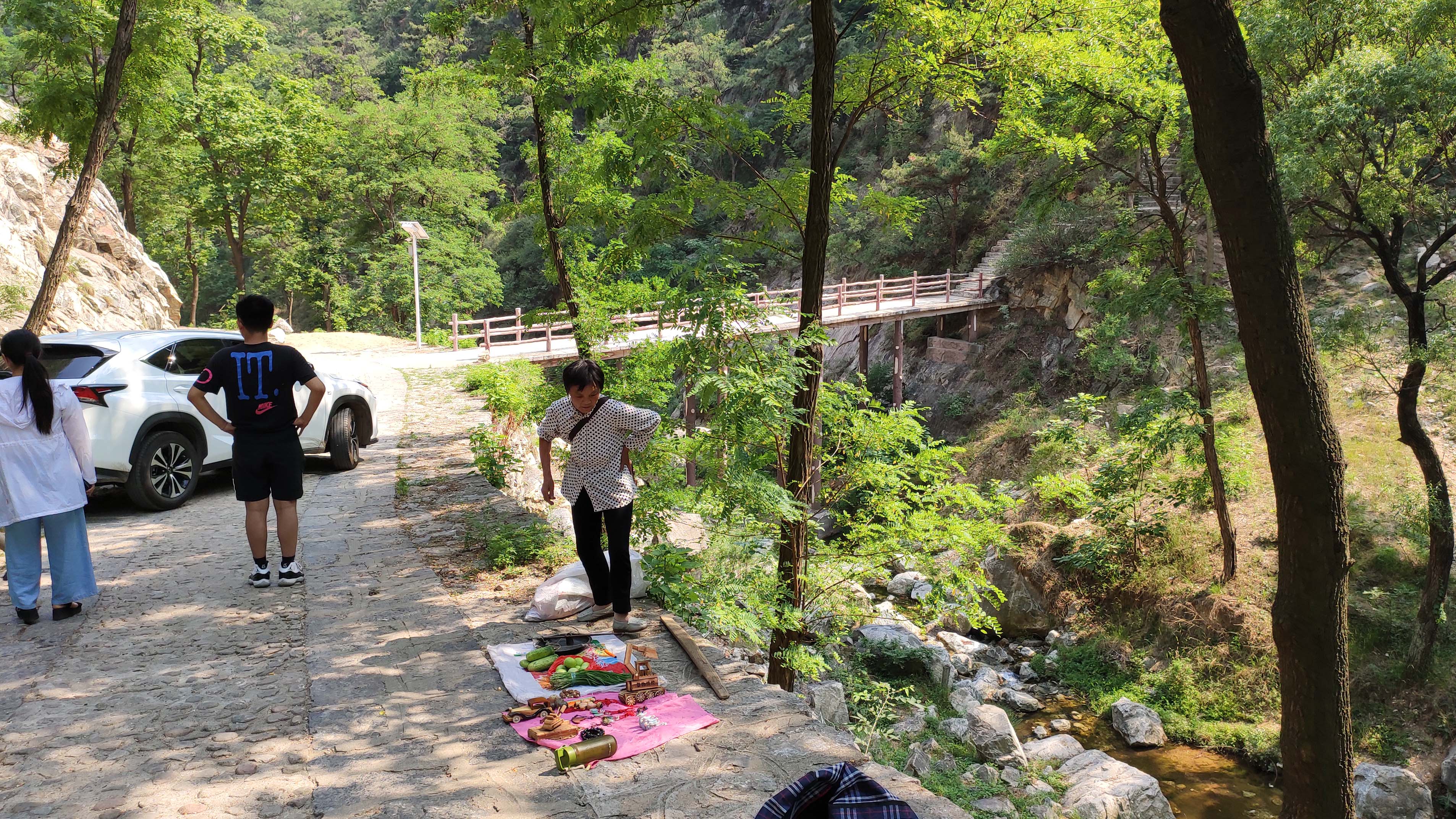 济南药乡国家森林公园:天然氧吧,遍地野生中药材