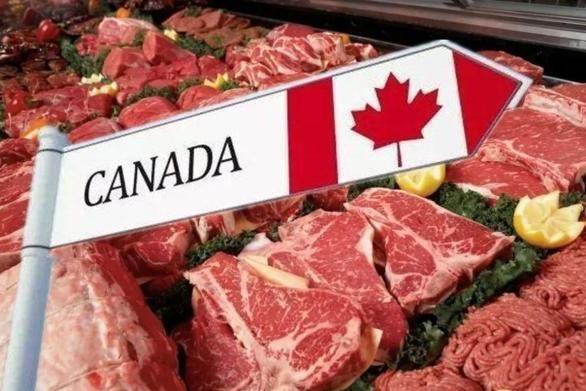 188份伪造证书!暂停所有加拿大肉类对华出口!挪威等国肉产品……
