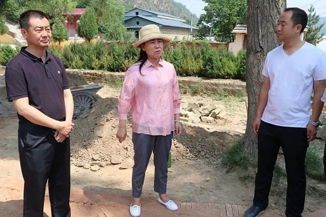 段玉凤调研城乡人居环境整治工作