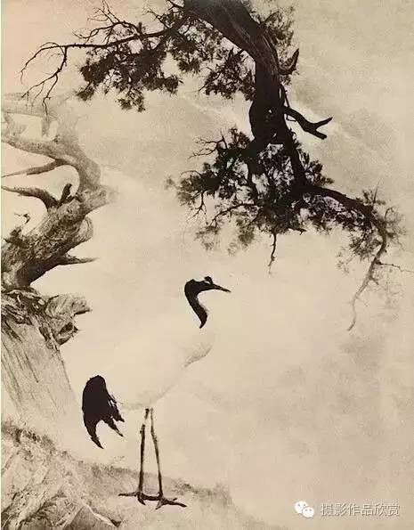 文章配图-86