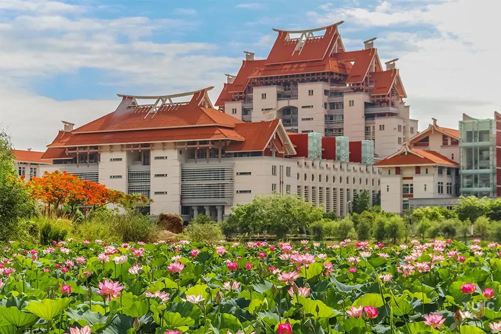 厦门大学嘉庚学院:风景独好 来了就不想走