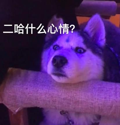 a3379df15cf840a5a70598a98be2345d.jpeg