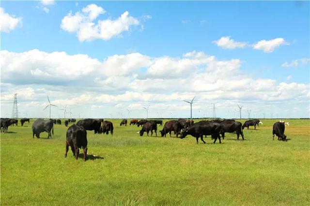 我们每天都在吃的零食，其实是清朝公主的嫁妆