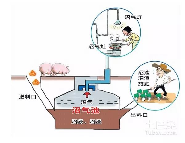 沼气池示意图