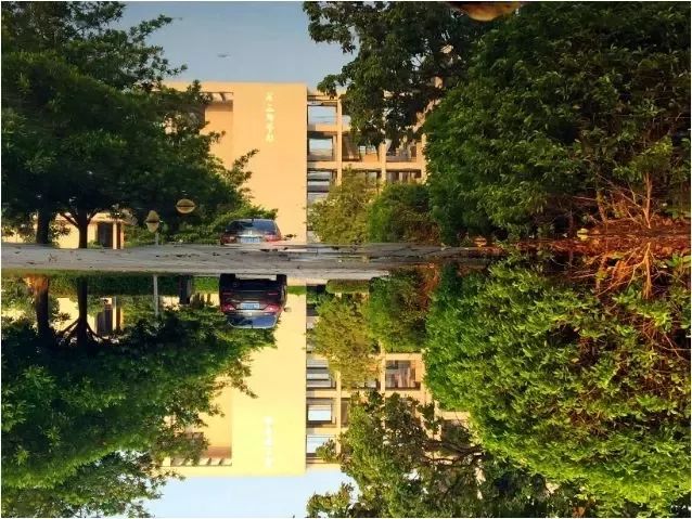 —天台之上夕阳之下 来源 | 读者服务部,编辑,排版|小图 dgptlibrary