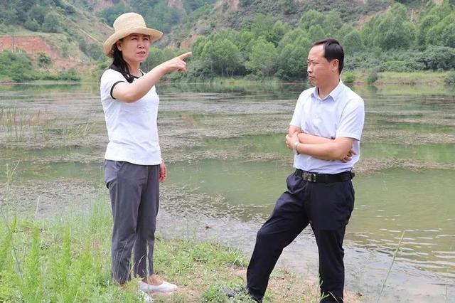 段玉凤调研城乡人居环境整治工作