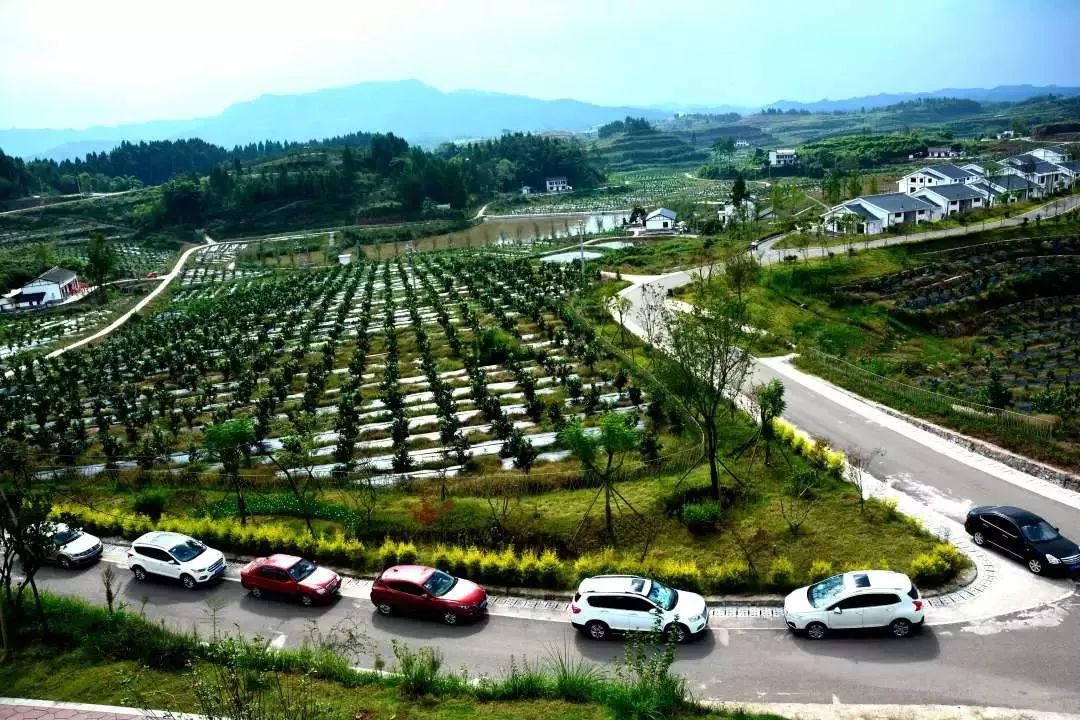 美丽南充网红新村耕读原乡休闲康养营山后花园欢迎您