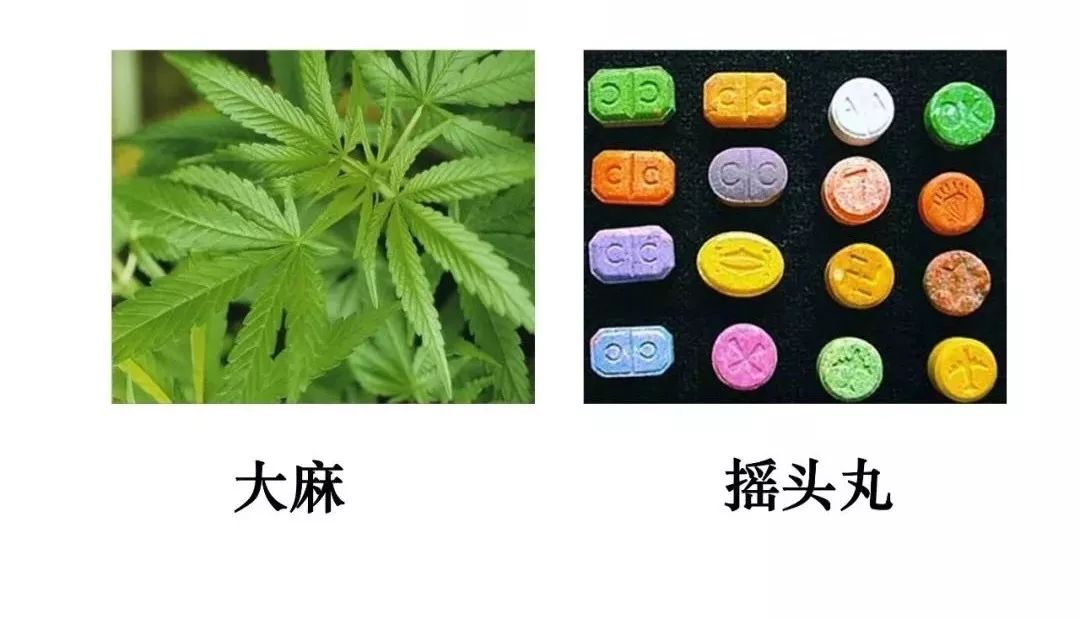 禁毒离我们远!_毒品