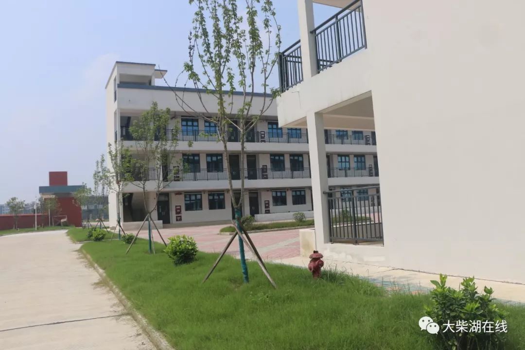 大柴湖实验小学九月迎新