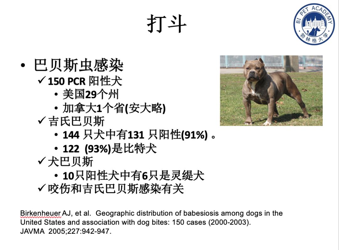 课件先知(巴贝斯虫病;疏螺旋体病或莱姆病;埃里希体病和无形体病等)