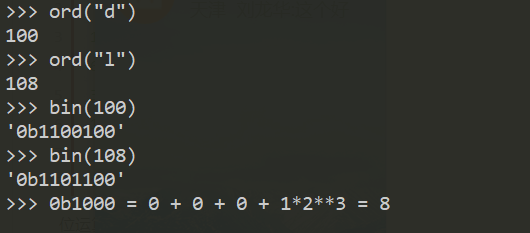 Python 进制转换与位运算
