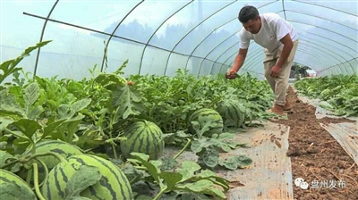 盘州保田 d0cd263e5a9f4dbf8c3c6576e883bbc8.jpeg