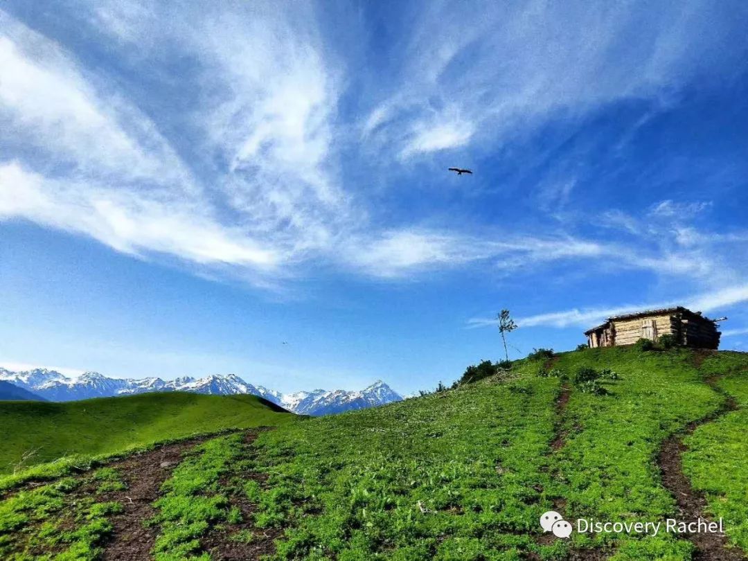 山上美女风景 d48d64169e8643c6b94520f9ef3ba782.jpeg