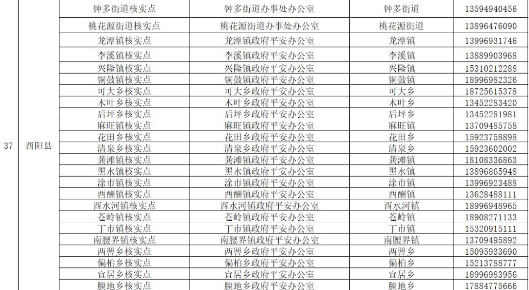 重庆市人口普查正式登记信息_普查人口登记表格图片