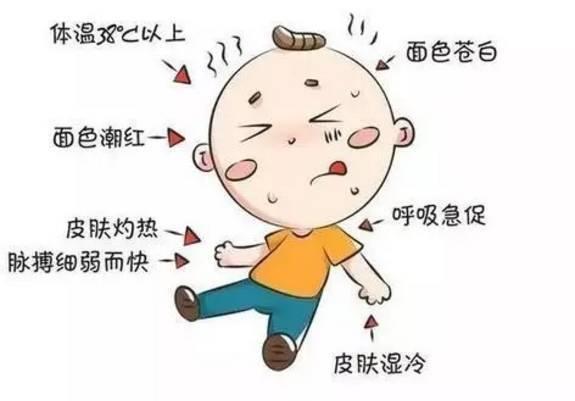                     离近三伏天宝宝防中暑秘籍在此，妈妈快点看过来