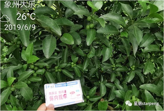 用保滋,喷内膛,保内膛果--回访篇(五)