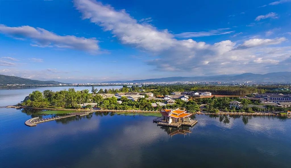 ����Ѷ������ֱ���Ϻ�7��14���׺����������飬��̲����ʿ�� ...