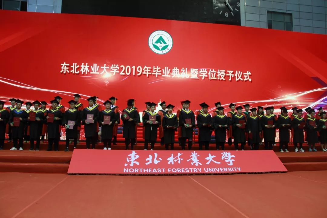 6月26日,东北林业大学2019年学位授予仪式掠影大学生活即将落幕,新的