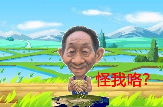 独立,勇敢,创新…有一种精神叫袁隆平