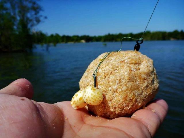 鱼多久生一窝 09ea8fa7dc6841498bcc16080aa623f8.jpeg