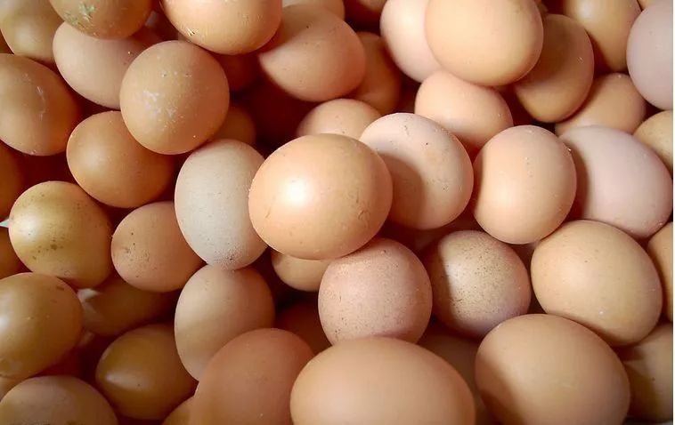 每天一个鸡蛋，你的身体将会产生这些变化~ 鸡蛋多吃对身体有害吗