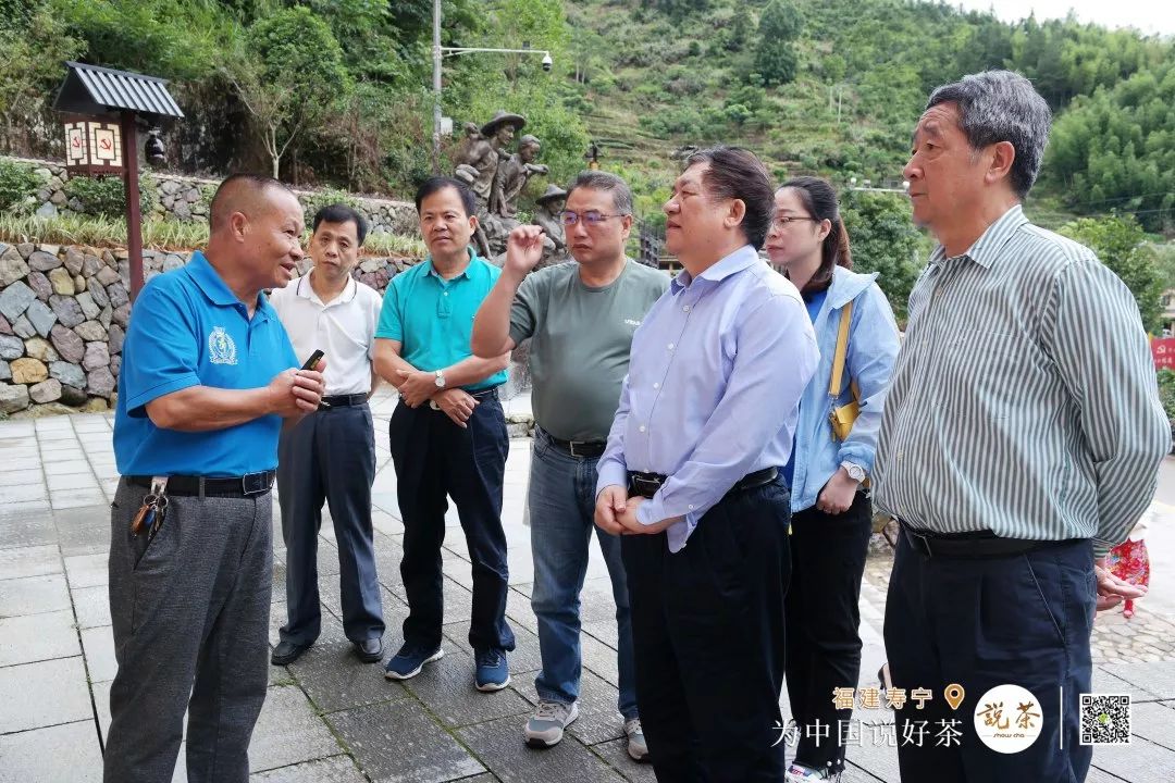 海峡两岸茶业交流协会一行寿宁调研 助推茶旅发展