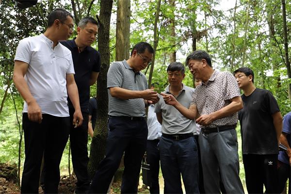 天柱县坪地镇八阳村调研指导脱贫攻坚工作,县委副书记廖伯承陪同调研