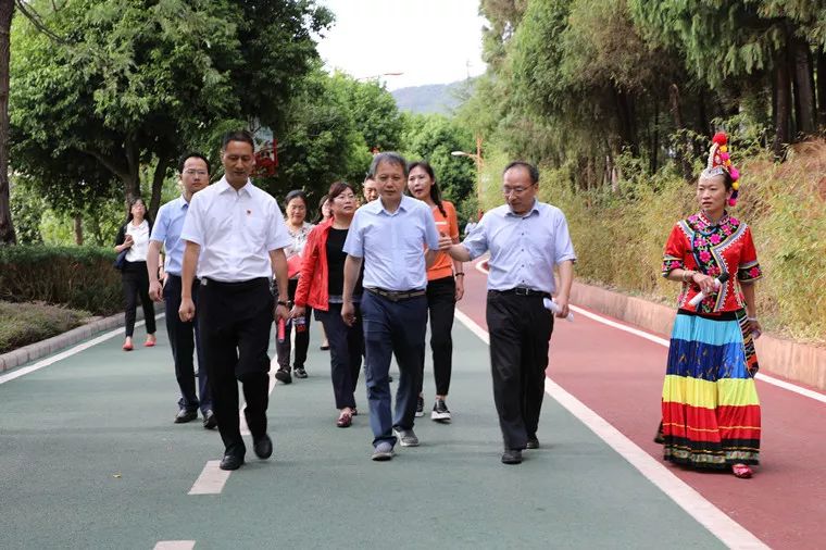 楚雄州人民政府副秘书长杨杰,楚雄州文化和旅游局局长戴凤玲,中共双柏