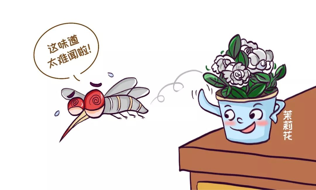                     夏天宝宝总被蚊子咬，咋办？宝妈们推荐的这些驱蚊法可以试试
