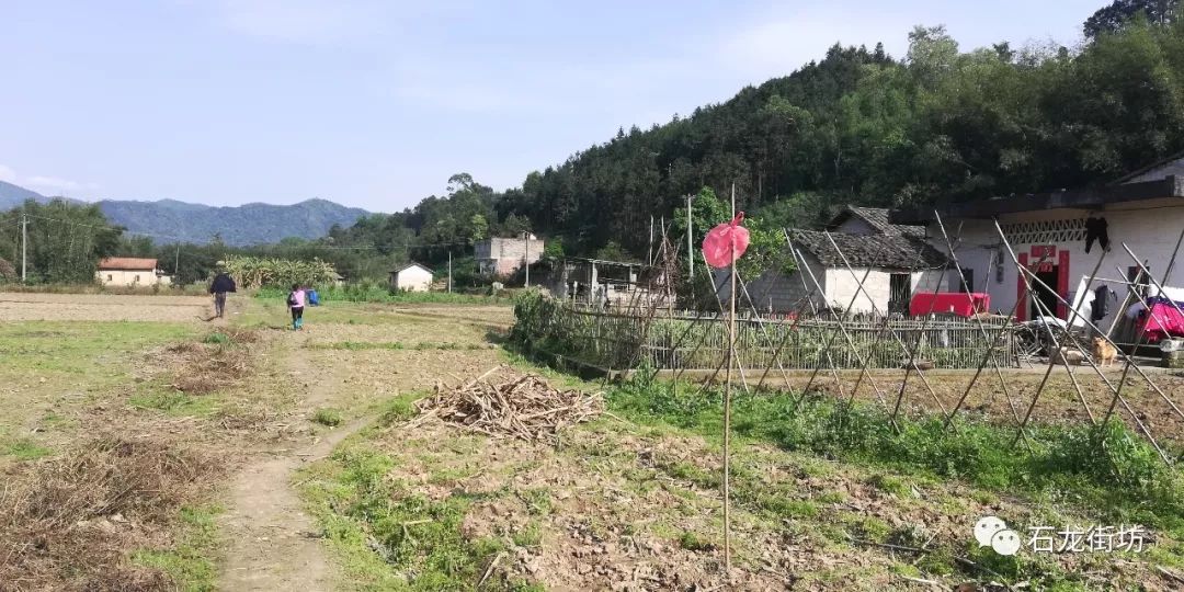 一组石龙中峡江村的风光图片
