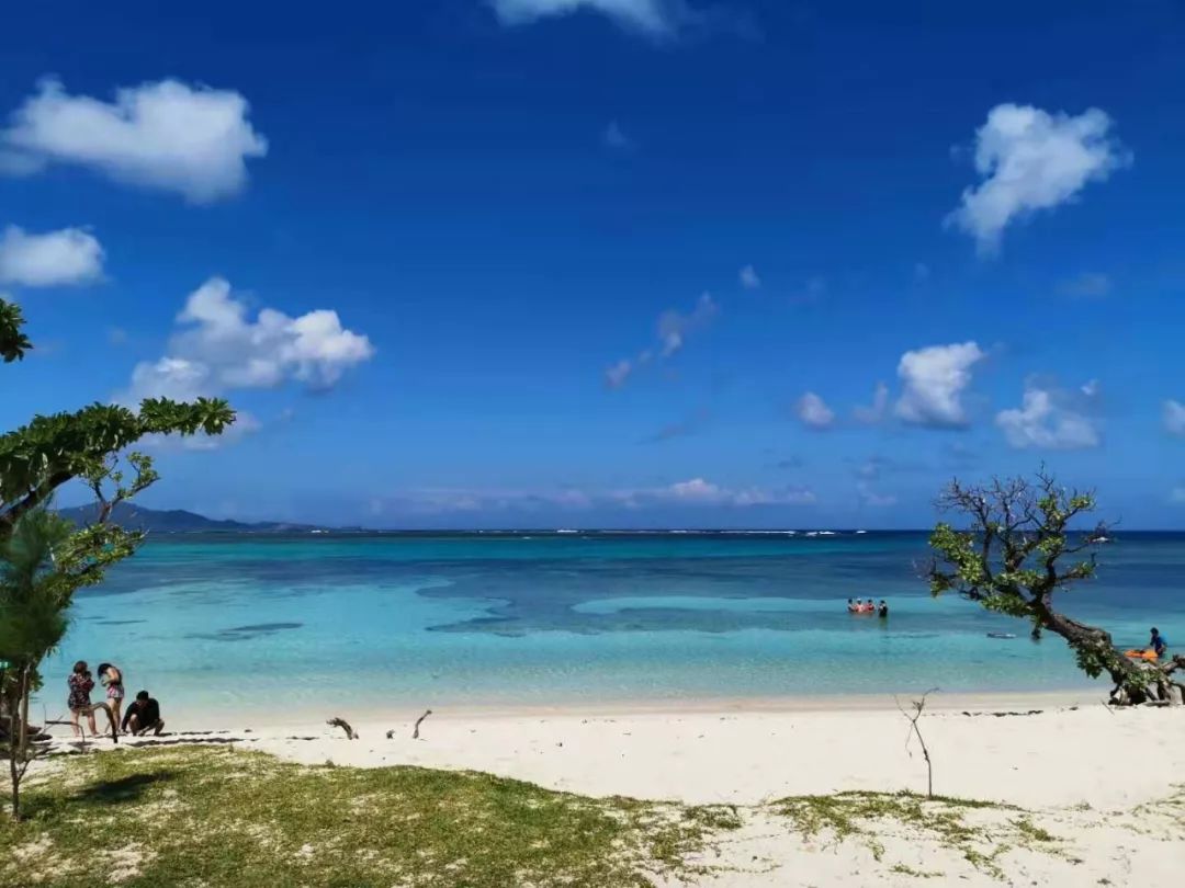 cnn全球最美海滩,原始生态+阳光海岸,暑假出游海岛之选