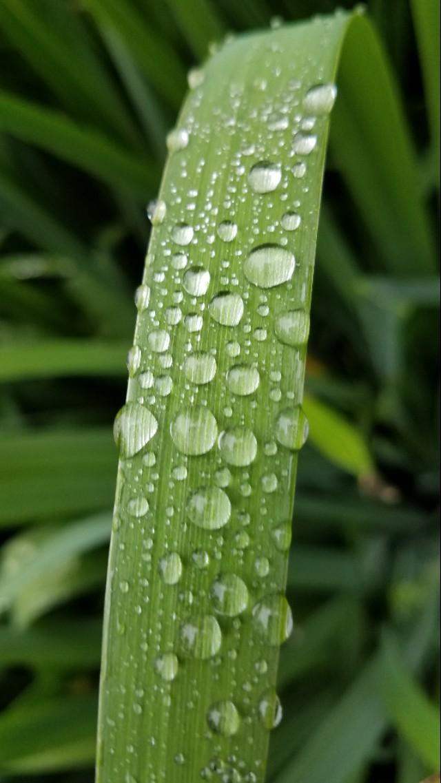 夏都西宁雨后夏天的傍晚那一丝丝的清凉,西宁夏天的清凉已成为