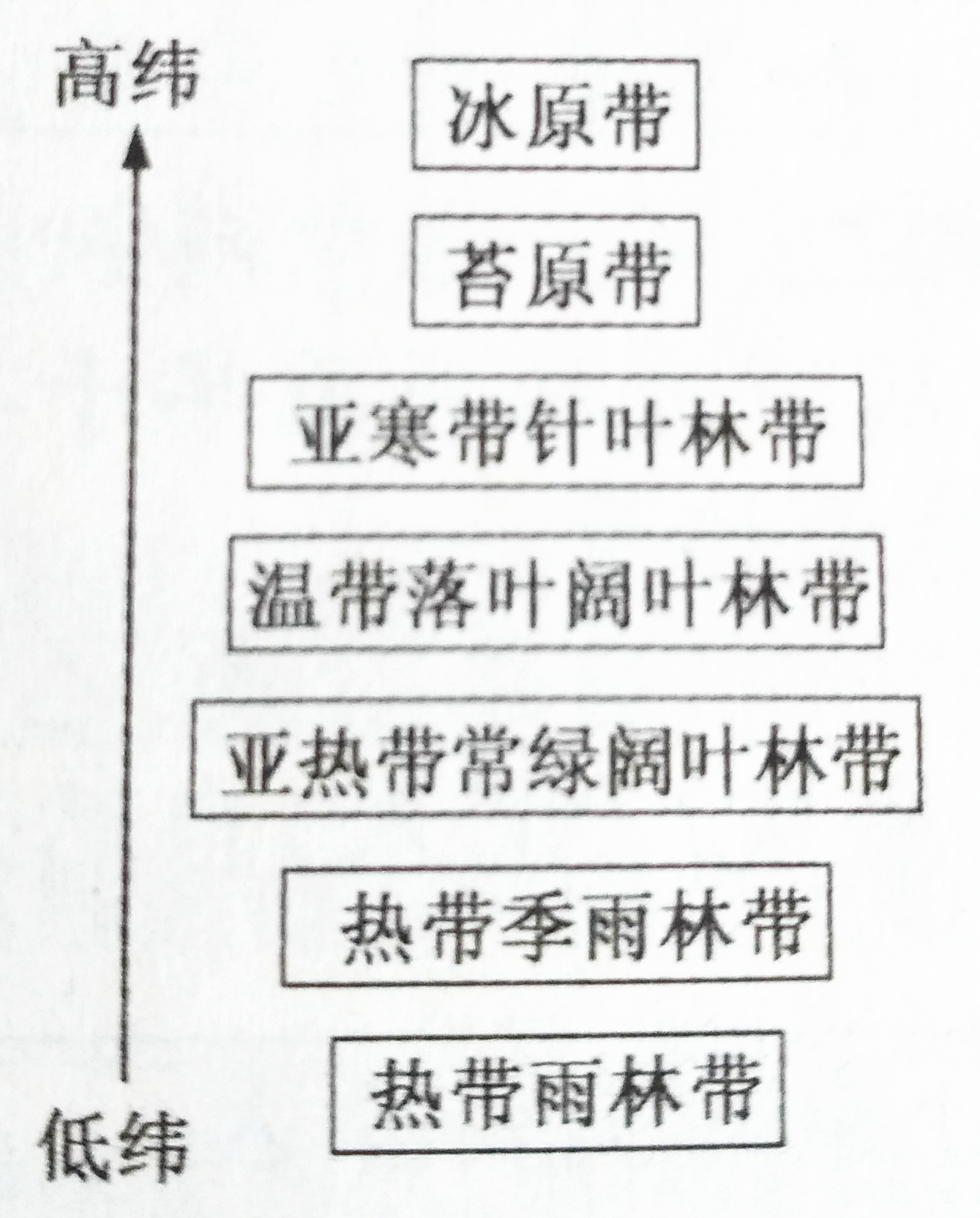 纬度地带性(从赤道到两极的地域分异规律)二,自然带的水平地域分异规