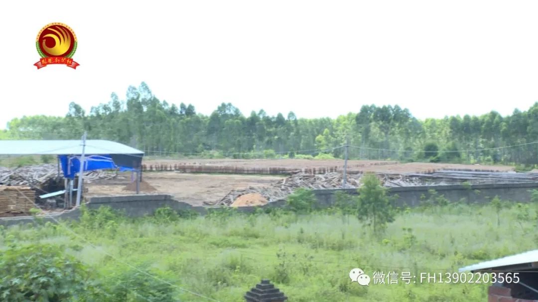 广东湛江揭露雷州沈塘村经济合作社集体土地被违法侵占内幕