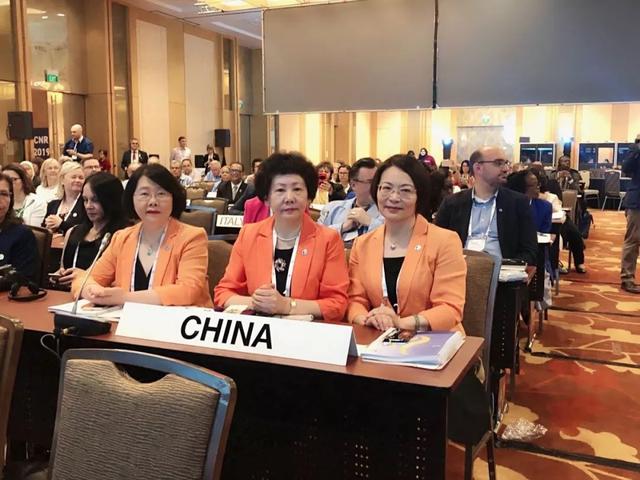 吴欣娟理事长率中华护理学会代表团出席国际护士会会员代表会议