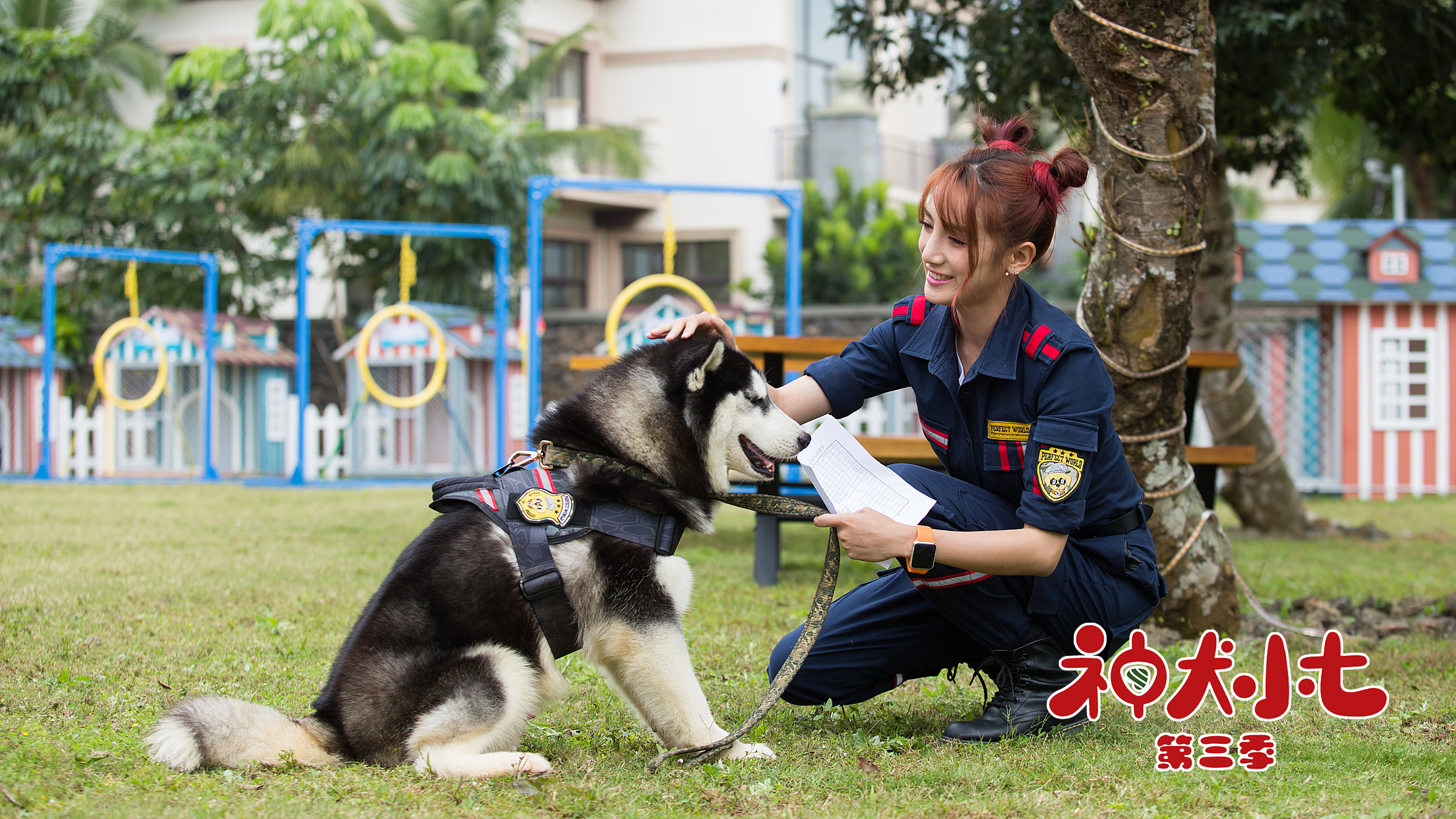 神犬小七3萌力来袭人宠情敌纷纷现身美人芳心许给谁