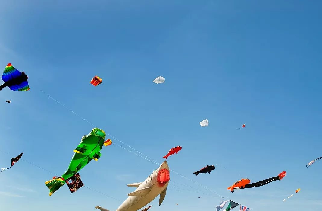 风筝 风筝║刘莉萍