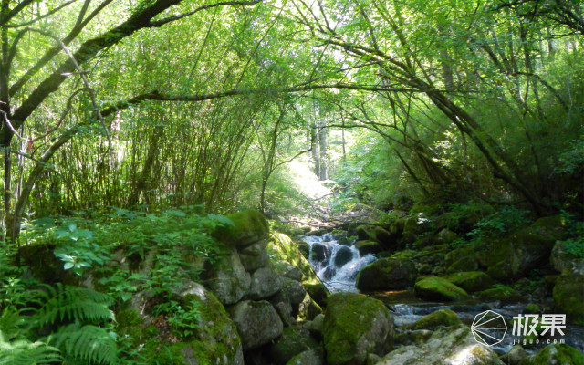 miniwell单兵户外净水器让污水变净水